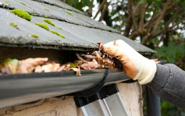 gutter cleaning Ludney