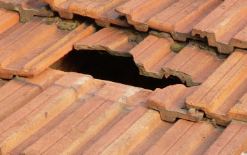 roof repair Ludney