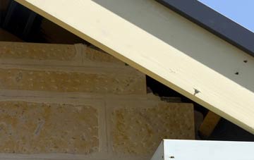 soffit repair Ludney