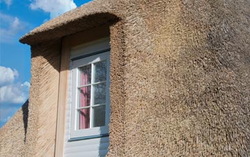 Ludney thatch roof disadvantages